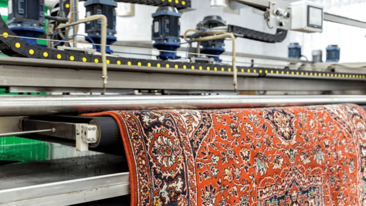 Professional sofa and carpet cleaning
